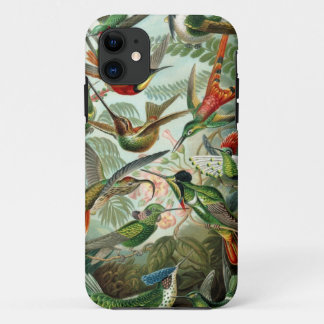 Haeckel Hummingbirds Barely There iPhone 5 Case