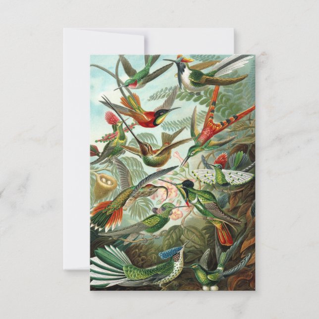 Haeckel Hummingbirds carte de voeux tout-temps (Devant)