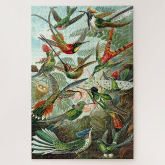 Haeckel Hummingbirds Puzzle