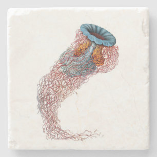 Haeckel Jellyfish Coaster