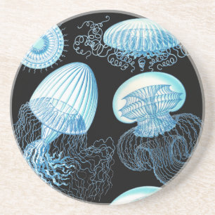 Haeckel Jellyfish Coaster