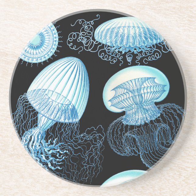 Haeckel Jellyfish Coaster (Front)