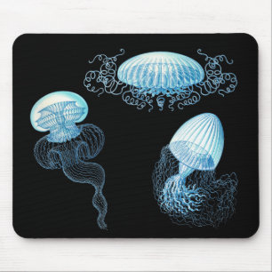 Haeckel Jellyfish Mouse Pad