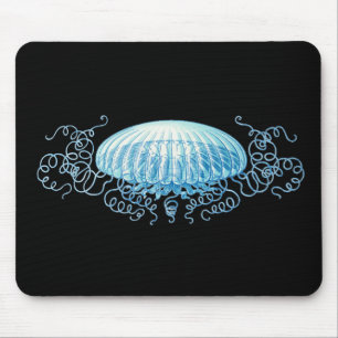 Haeckel Jellyfish Mouse Pad