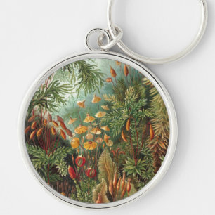 Haeckel Keychain