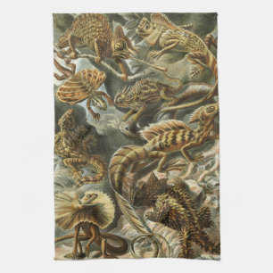 Haeckel Kitchen Towel