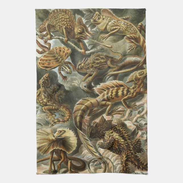Haeckel Kitchen Towel (Vertical)