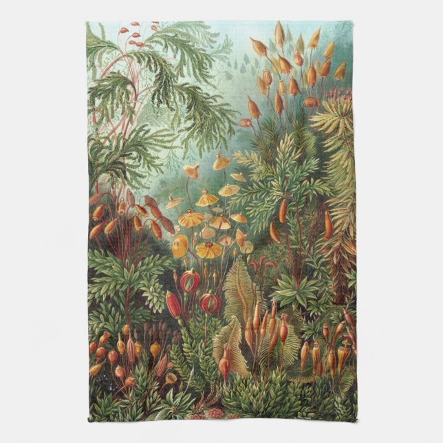 Haeckel Kitchen Towel (Vertical)