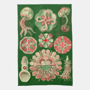 Haeckel Marine Jellyfish Illustration Red & Green Kitchen Towel