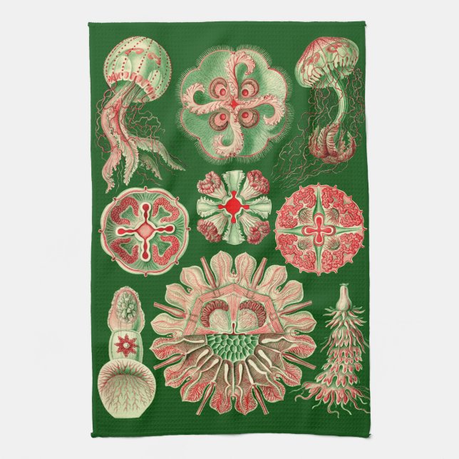 Haeckel Marine Jellyfish Illustration Red & Green Kitchen Towel (Vertical)