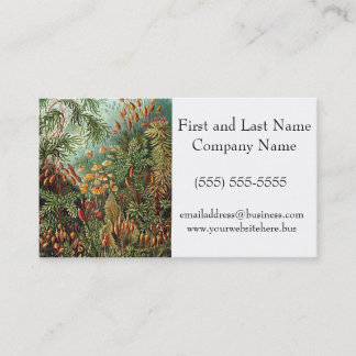 Haeckel Moss, Grass, and Fungus Mushroom Painting Business Card