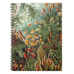 Haeckel Moss, Grass, and Fungus Mushroom Painting Notebook