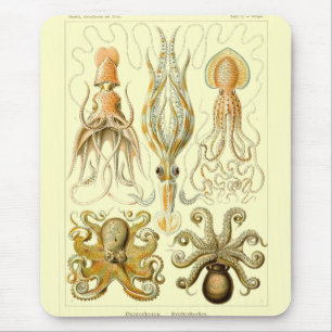 Haeckel Mouse Pad