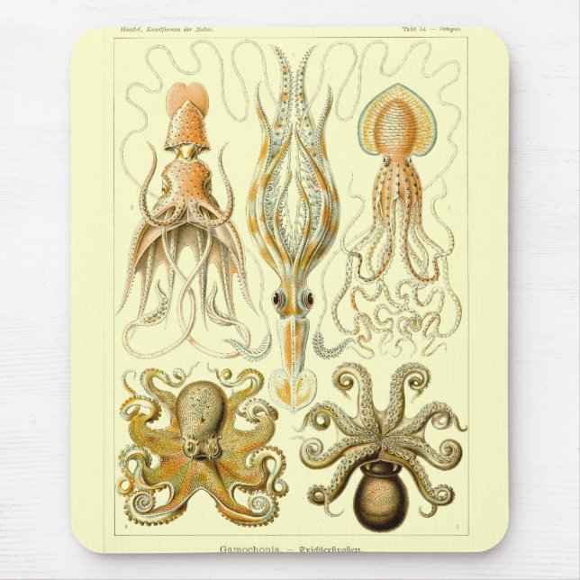 Haeckel Mouse Pad (Front)