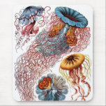 Haeckel Mouse Pad<br><div class="desc">Haeckel mousepad.</div>