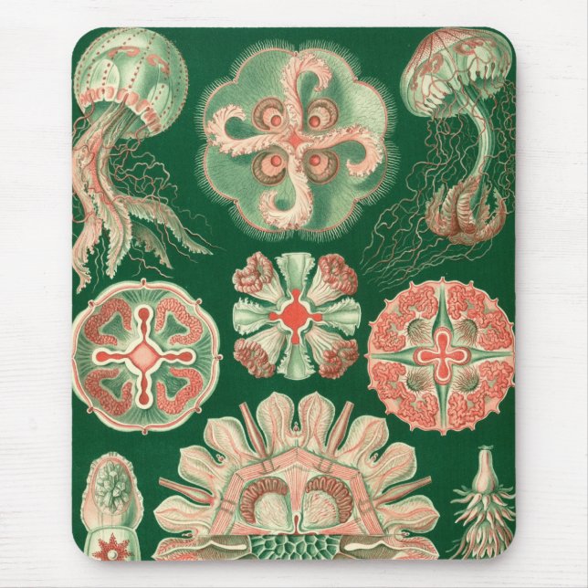 Haeckel Mouse Pad (Front)