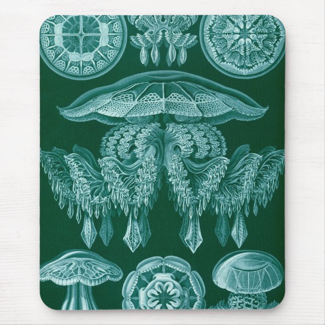 Haeckel Mouse Pad (Front)
