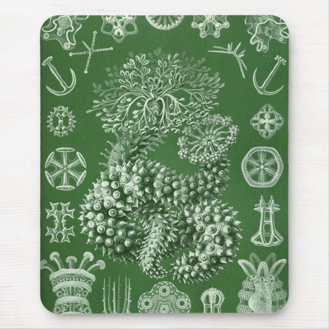 Haeckel Mouse Pad (Front)
