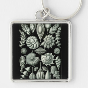 Haeckel Negative Keychain