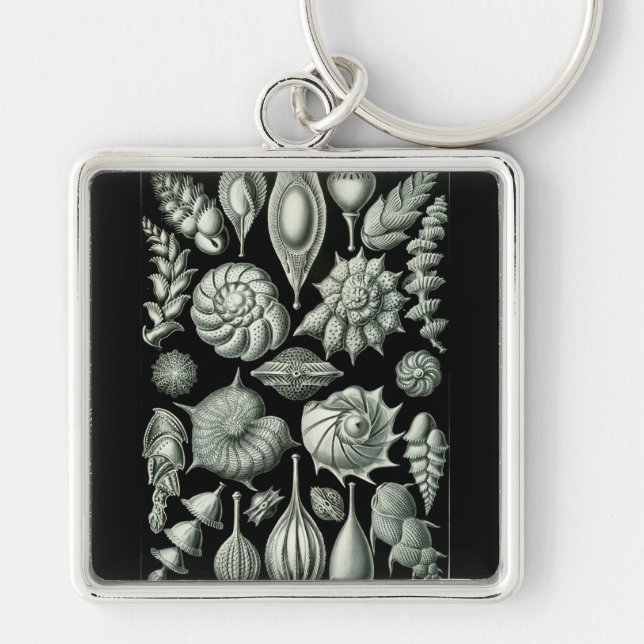 Haeckel Negative Keychain (Front)