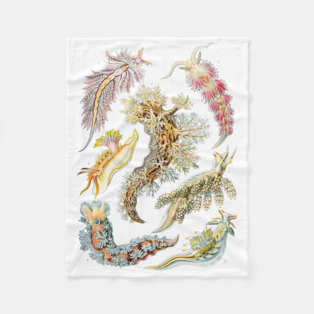 Haeckel Nudibranchia Fleece Blanket (Front)