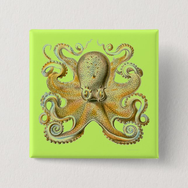 Haeckel Octopus 2 Inch Square Button (Front)