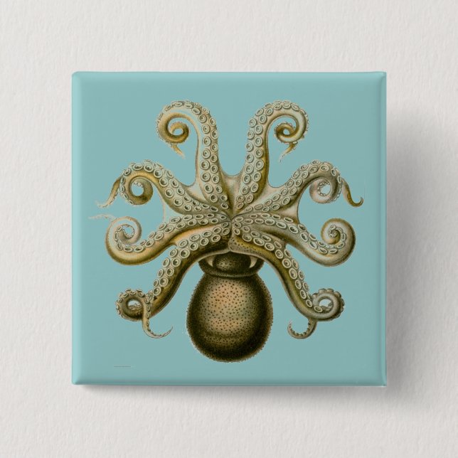 Haeckel Octopus 2 Inch Square Button (Front)