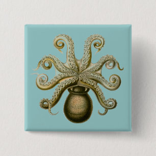 Haeckel Octopus 2 Inch Square Button