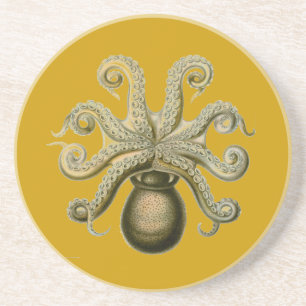 Haeckel Octopus Coaster