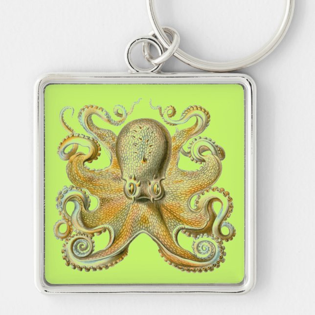 Haeckel Octopus Keychain (Front)