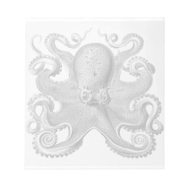 Haeckel Octopus Notepad (Front)