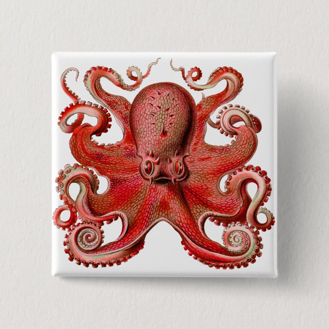 Haeckel Octopus Red 2 Inch Square Button (Front)