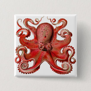 Haeckel Octopus Red 2 Inch Square Button
