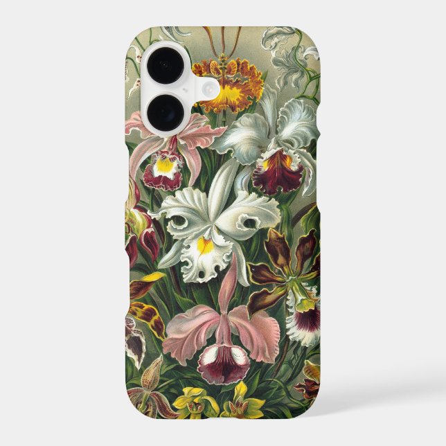 Haeckel Orchids (Back)