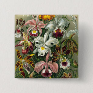 Haeckel Orchids 2 Inch Square Button