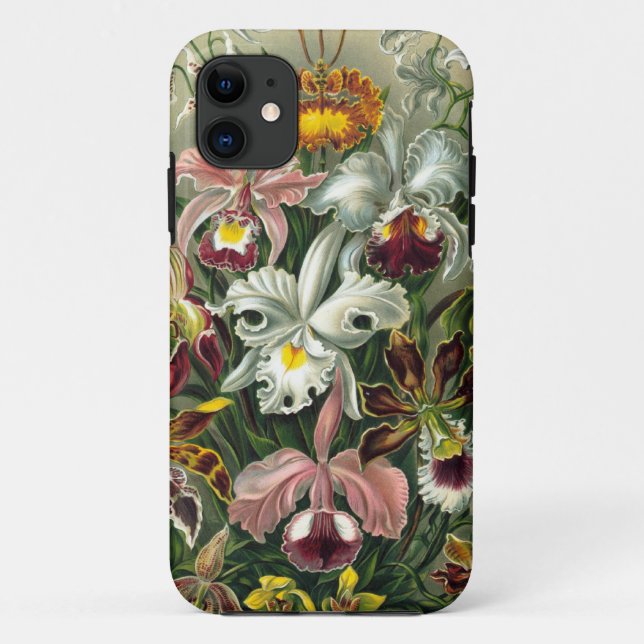 Haeckel Orchids Barely There iPhone 5 Case (Back)