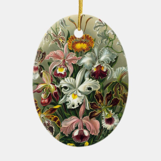 Haeckel Orchids Ceramic Ornament (Front)