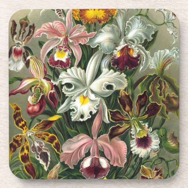 Haeckel Orchids Coaster (Front)