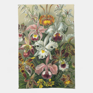 Haeckel Orchids Kitchen Towel