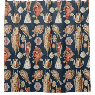 Haeckel Ostraciontes Tropical Fish Nature Art