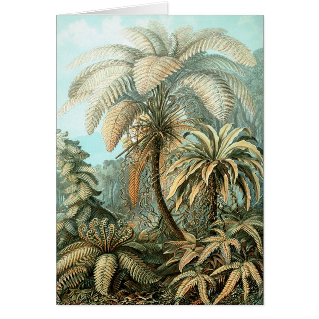 Haeckel Palm Tree (Devant)