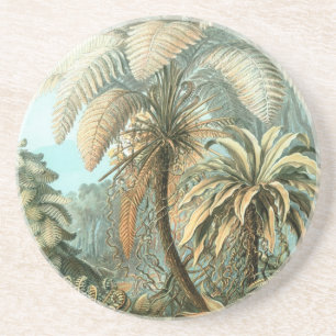 Haeckel Palm Trees Coaster
