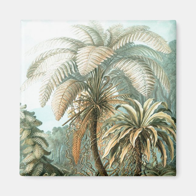 Haeckel Palm Trees Magnet (Front)