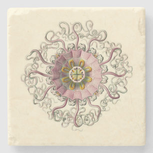 Haeckel Peromedusa Coaster