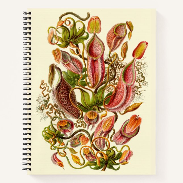 Haeckel Pitcher Plant Vintage Illustration Notebook (Front)