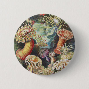 Haeckel Sea Anemones Nautical Sea Life Art Collage 2 Inch Round Button