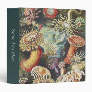 Haeckel Sea Anemones Nautical Sea Life Art Collage Binder