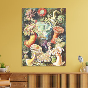 Haeckel Sea Anemones Nautical Sea Life Art Collage Canvas Print