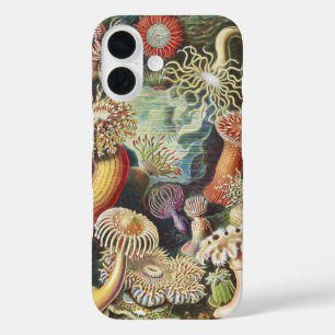 Haeckel Sea Anemones Nautical Sea Life Art Collage iPhone 16 Case