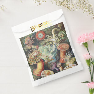 Haeckel Sea Anemones Nautical Sea Life Art Collage Favour Bag